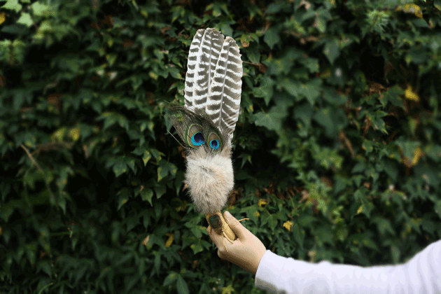 Smudge Fan Smudge Fan