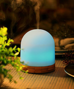 Diffusers & Oil Burners