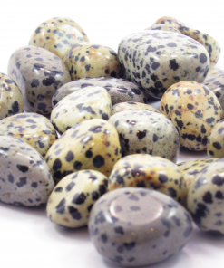 Dalmatian Jasper