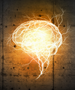 Mind-Body Connection & Psychology