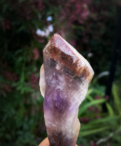 Auralite