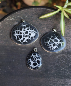 Septarian Nodules