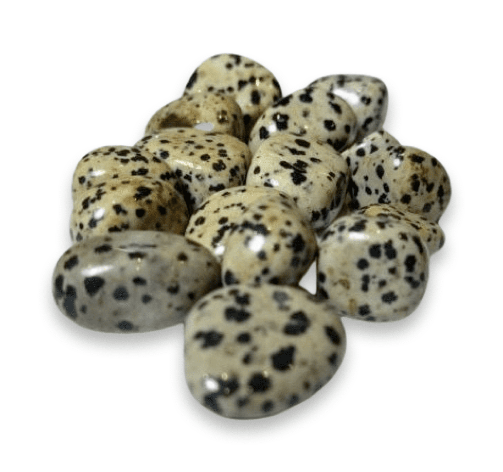 Tumbled Stone: Dalmation Jasper