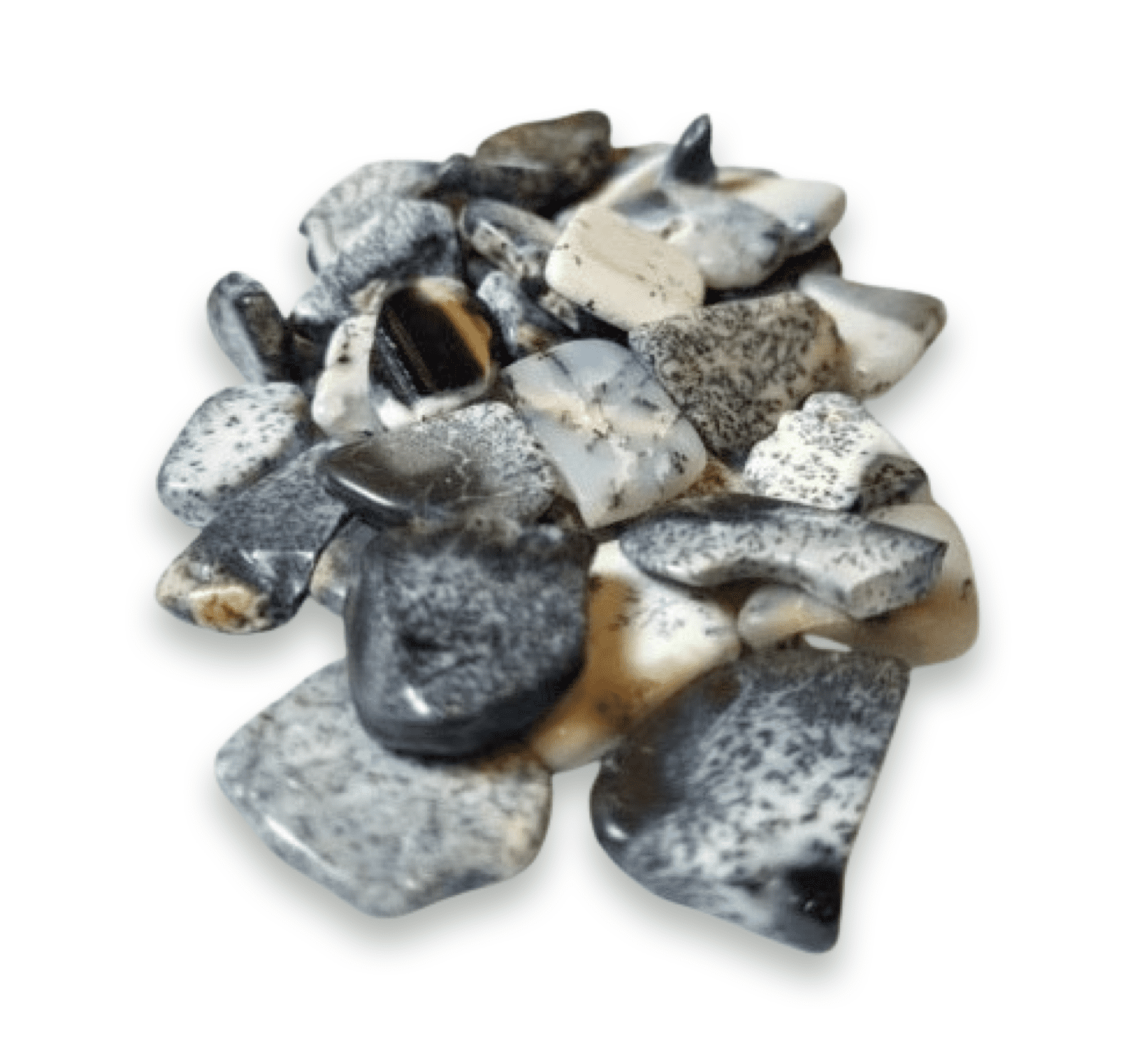 Tumbled Stone: Dendritic Agate