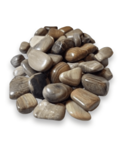 Tumbled Stone: Petrified Wood