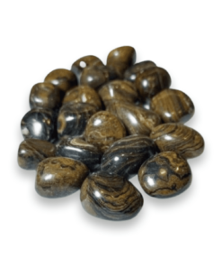 Tumbled Stone: Strombolite