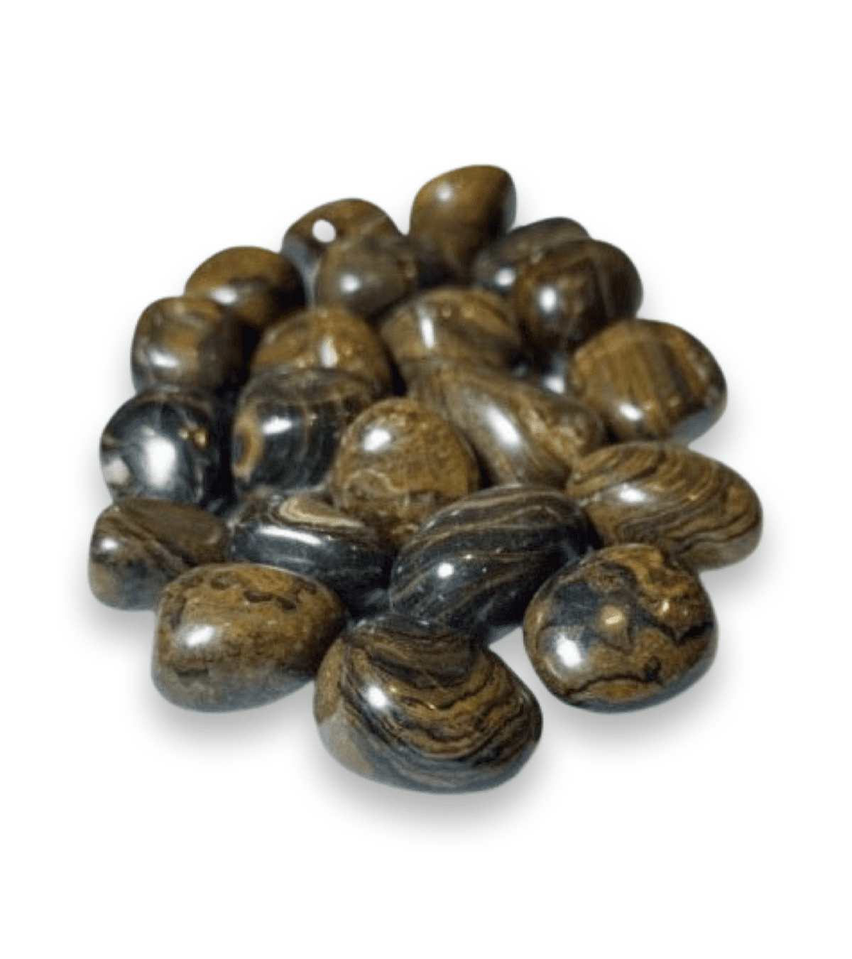 Tumbled Stone: Strombolite
