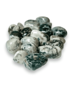 Tumbled Stone: Tree Agate