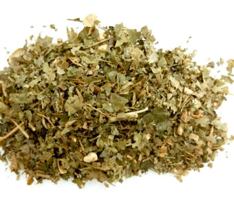 Herbs: Witch Hazel