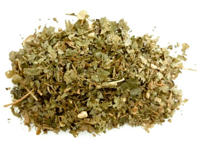 Herbs: Witch Hazel