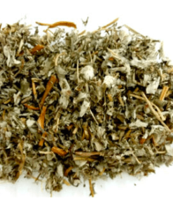 Herbs: Cinquefoil