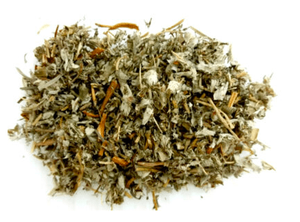 Herbs: Cinquefoil