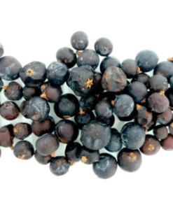 Herbs: Juniper Berries