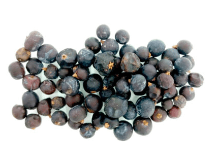 Herbs: Juniper Berries