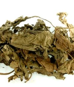 Herbs: Patchouli Leaves
