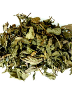 Herbs: Lammint
