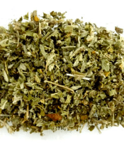 Herbs: Damiana