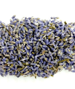 Herbs: Lavender