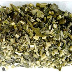 Herbs: Wood Betony