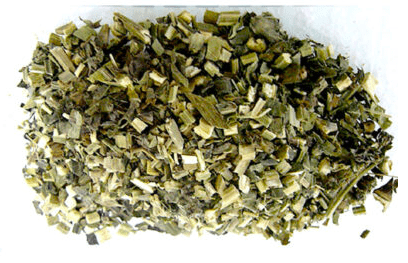 Herbs: Wood Betony