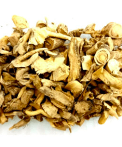 Herbs: Dittany Root