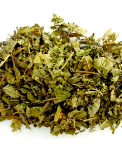 Herbs: Lemon Verbena