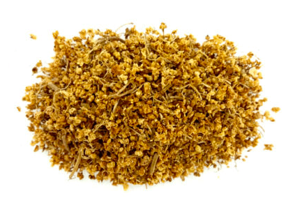 Herbs: Elder Flowers
