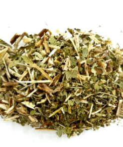 Herbs: Scullcap