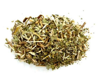 Herbs: Scullcap