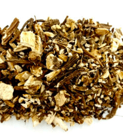 Herbs: Angelica Root