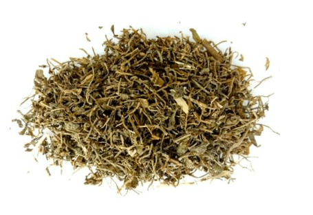 Herbs: Lobelia