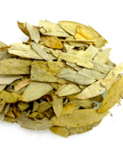 Herbs: Senna
