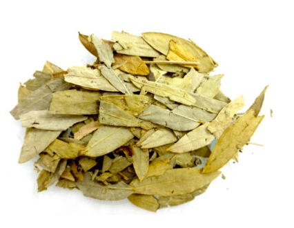 Herbs: Senna