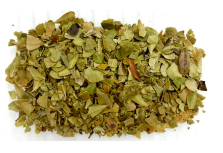 Herbs: Bearberry