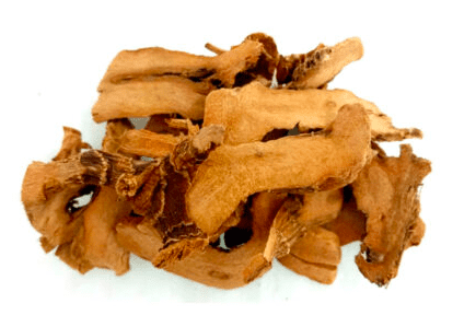 Herbs: Galangal Root