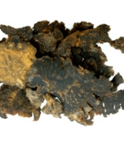 Herbs: Lovage Root