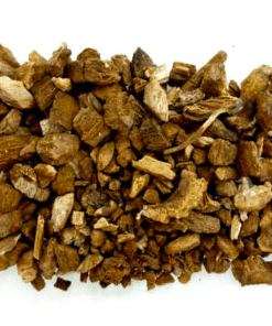 Herbs: Burdock Root