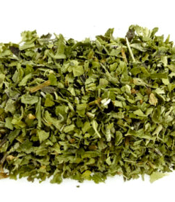 Herbs: Catnip