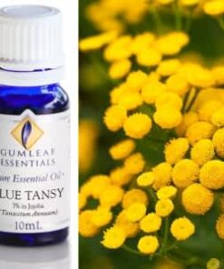 Gumleaf Essential Oils: Blue Tansy (3% in Jojoba)