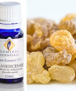 Gumleaf Essential Oils: Frankincense Olibanum 10ml