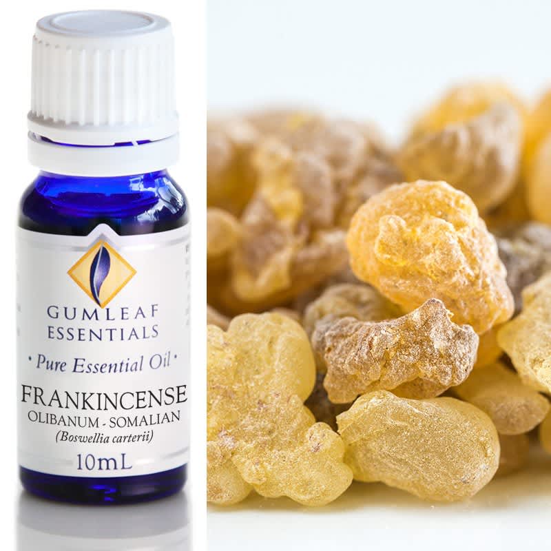 Gumleaf Essential Oils: Frankincense Olibanum 10ml