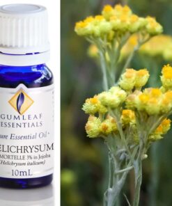 Gumleaf Essential Oils: Helichrysum Immortelle (3% In Jojoba)