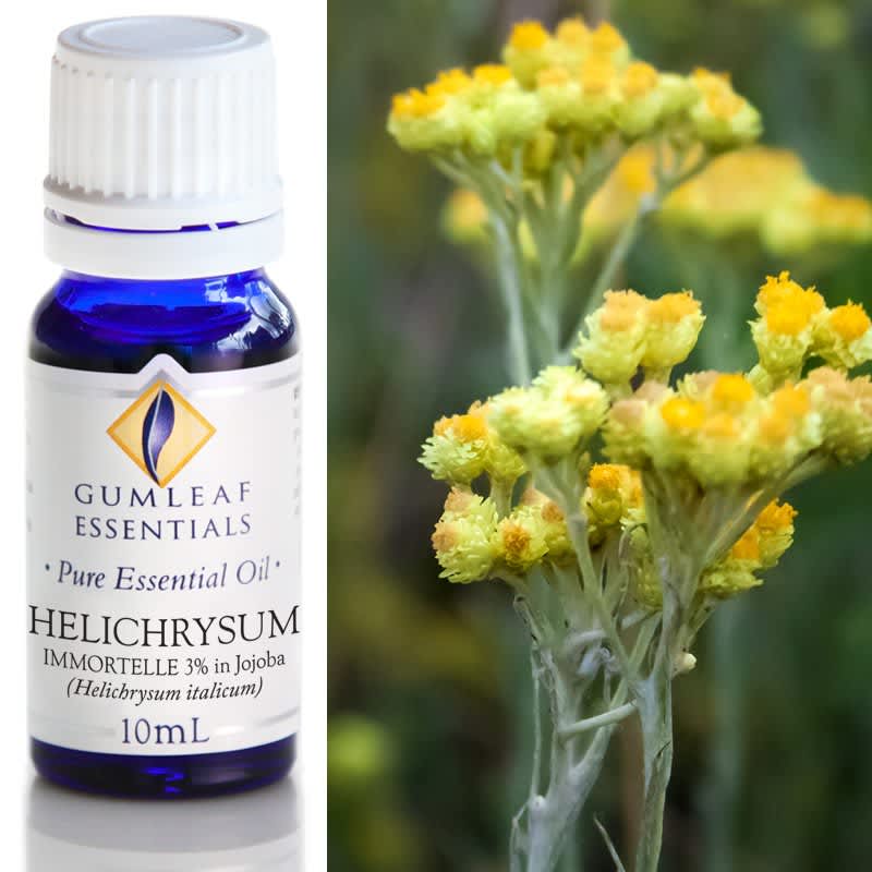 Gumleaf Essential Oils: Helichrysum Immortelle (3% In Jojoba)
