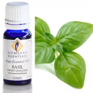 Gumleaf Essential Oils: Basil 10ml