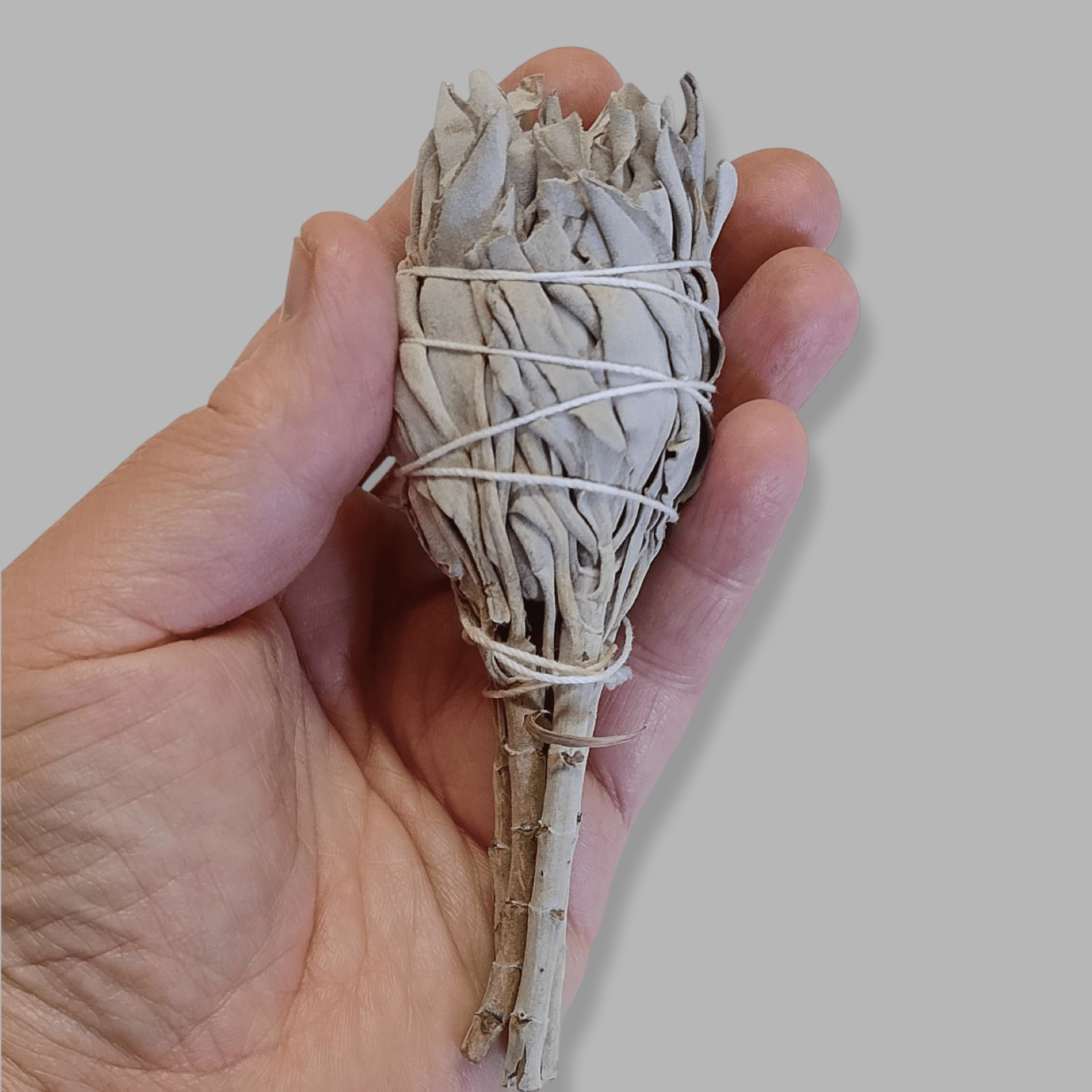 Sage: Small Smudgestick - Flame