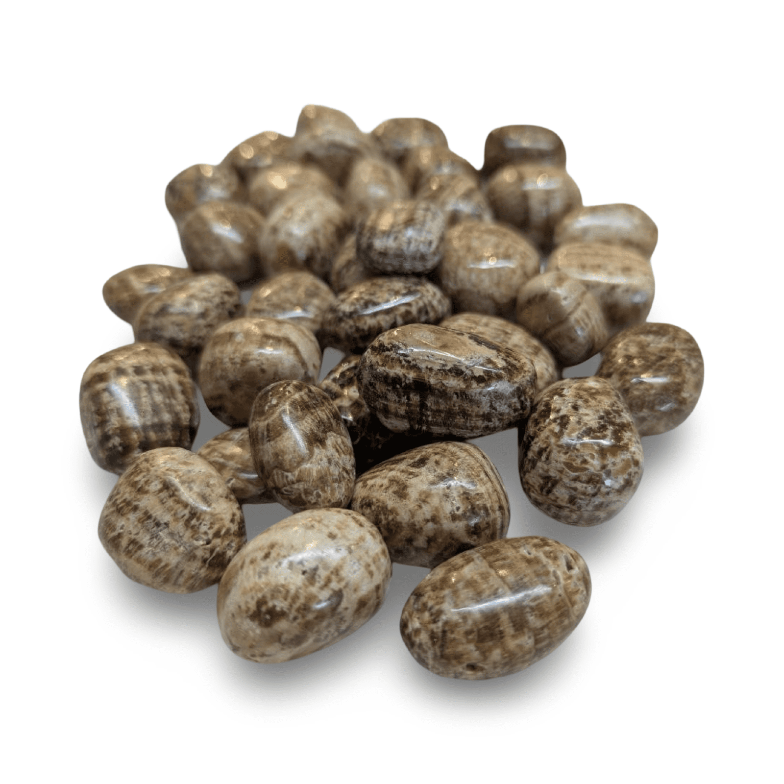 Tumbled Stone: Brown Aragonite