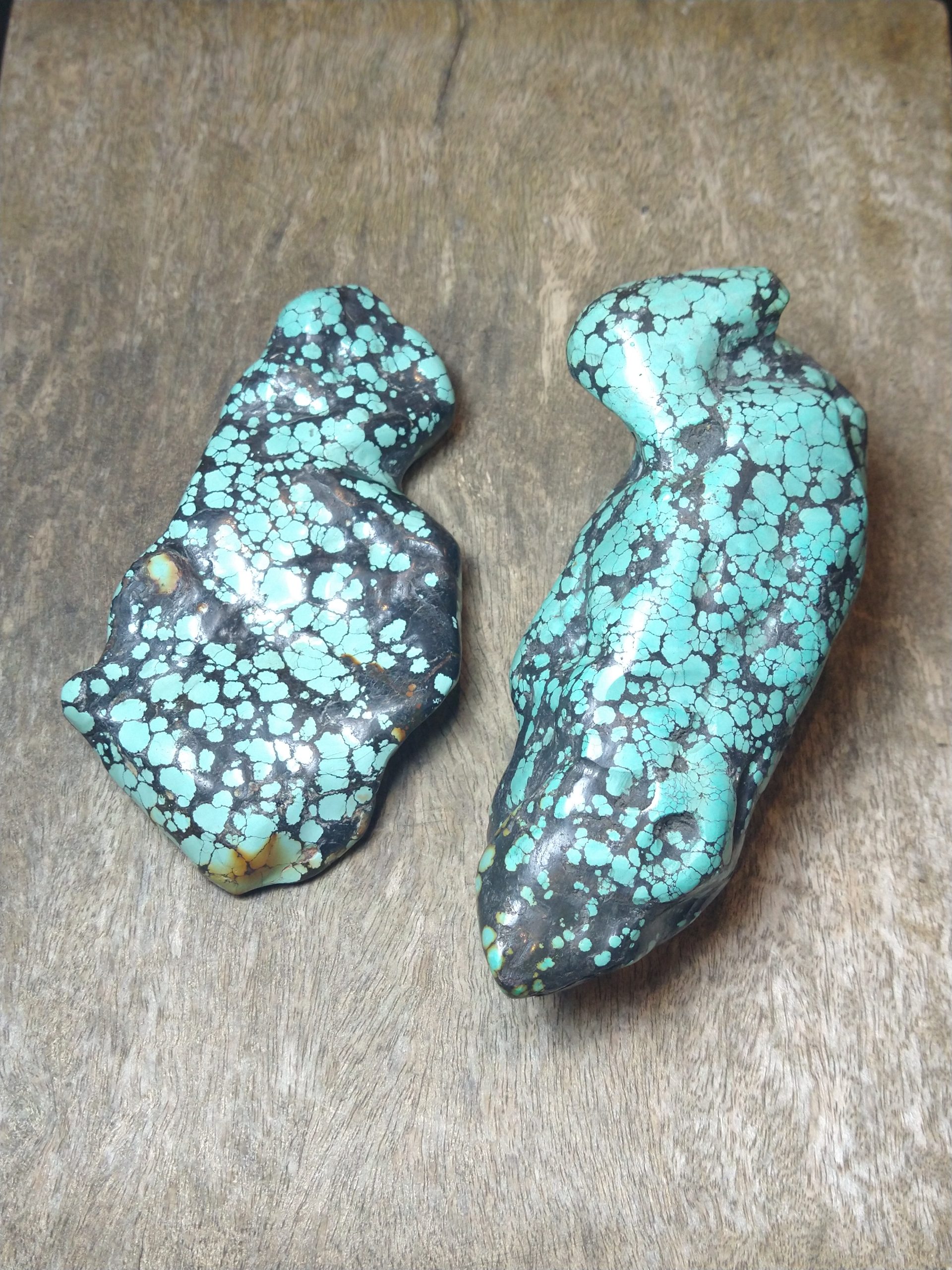 Natural Crystals: Polished Chinese Turquoise Nuggets (X-Large)
