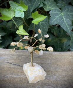 Genuine Citrine Abundance Tree (Approx 10x6cm)