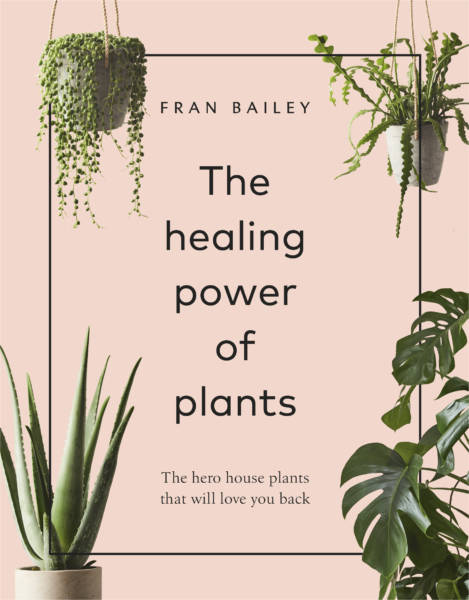 The Healing Power of Plants by Fran Bailey