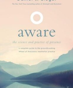 Aware: The Science and Practice of Presence by Daniel J Siegel
